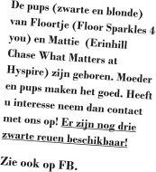 De pups (zwarte en blonde) van Floortje (Floor Sparkles 4 you) en Mattie  (Erinhill Chase What Matters at Hyspire) zijn geboren. Moeder en pups maken het goed. Heeft u interesse neem dan contact met ons op! Er zijn nog drie zwarte reuen beschikbaar! Zie ook op FB.