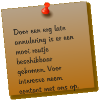 Door een erg late annulering is er een mooi reutje beschikbaar gekomen. Voor interesse neem contact met ons op.