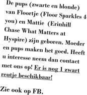 De pups (zwarte en blonde) van Floortje (Floor Sparkles 4 you) en Mattie  (Erinhill Chase What Matters at Hyspire) zijn geboren. Moeder en pups maken het goed. Heeft u interesse neem dan contact met ons op! Er is nog 1 zwart reutje beschikbaar! Zie ook op FB.